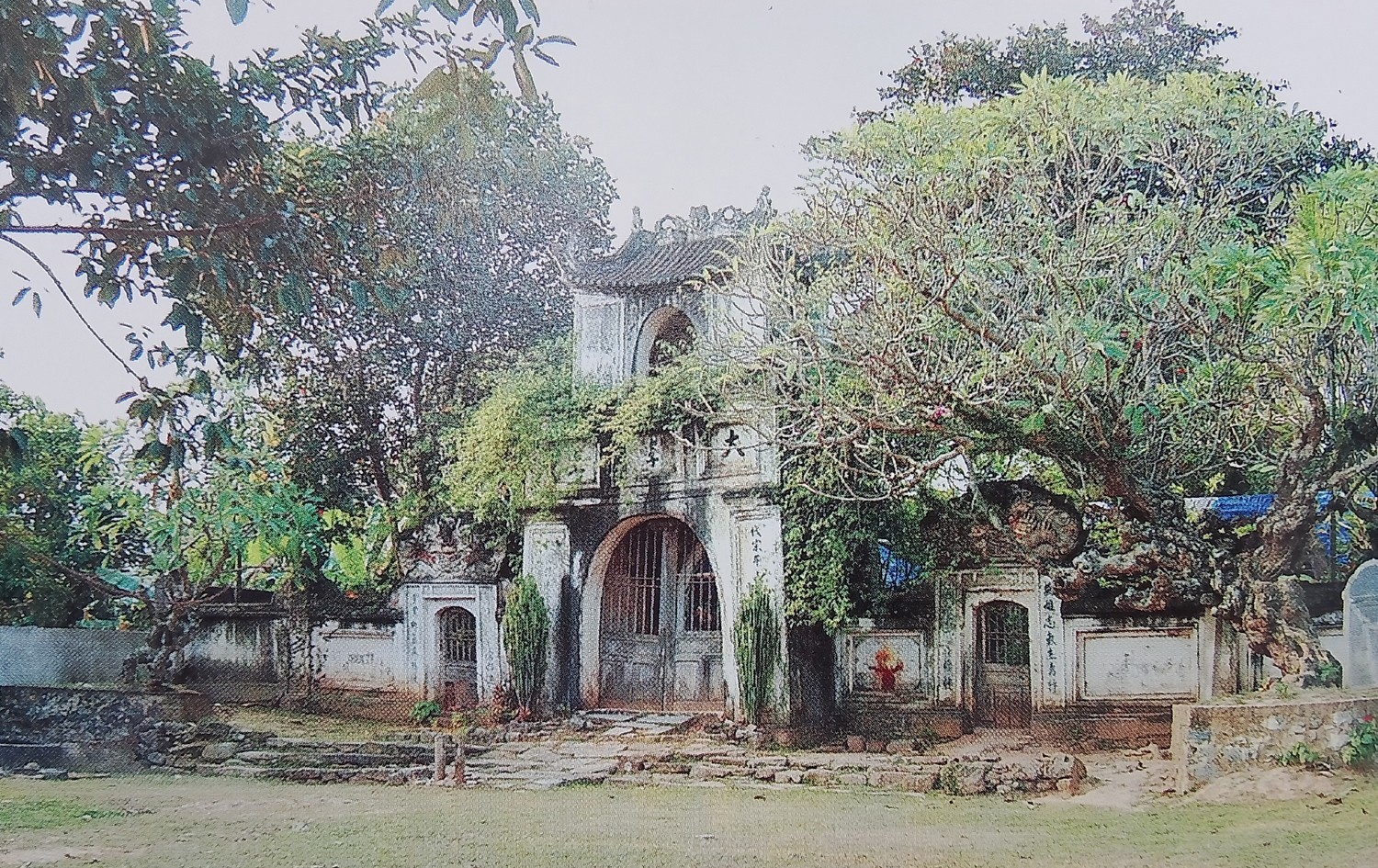 dhoa-2356346346747-1725851999.jpg