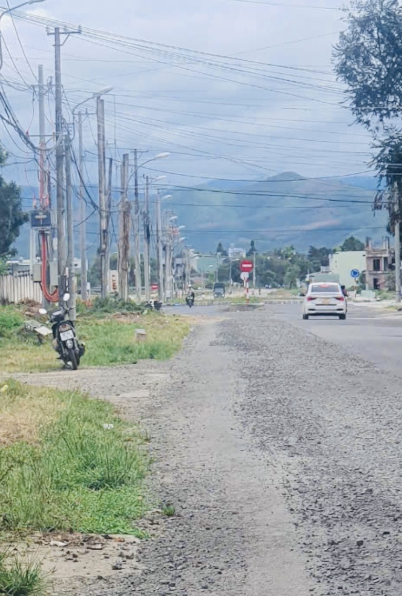 img-1535-1729663630.jpeg