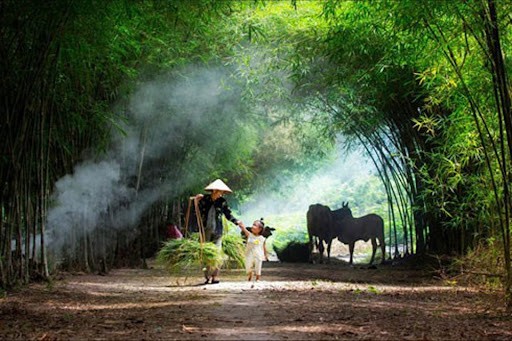 Tục ngữ: Tục ngữ là một phần không thể thiếu trong văn học và văn hoá Việt Nam, Ảnh đẹp về những điều ngọt ngào và sâu sắc của văn hóa Việt sẽ mang lại cho bạn nhiều trải nghiệm tuyệt vời trong cuộc sống.