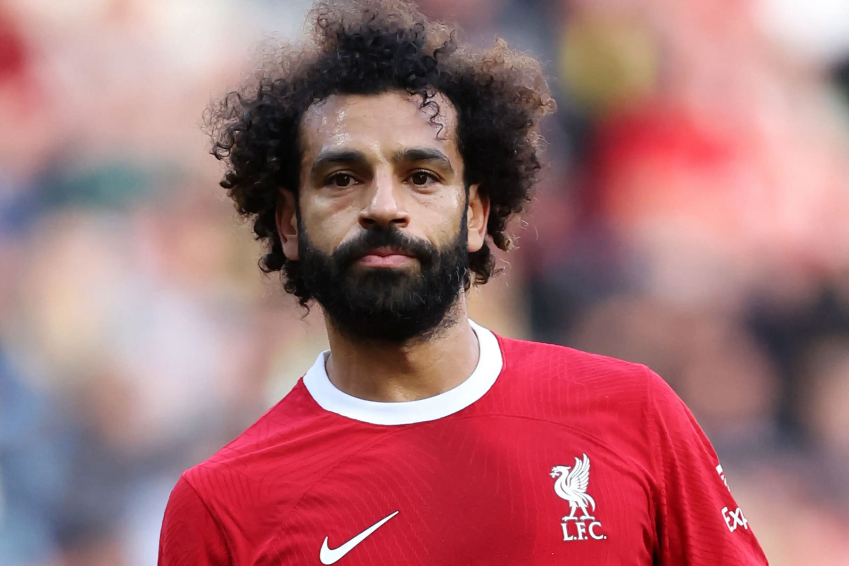 salah-liver-1693141350.jpg