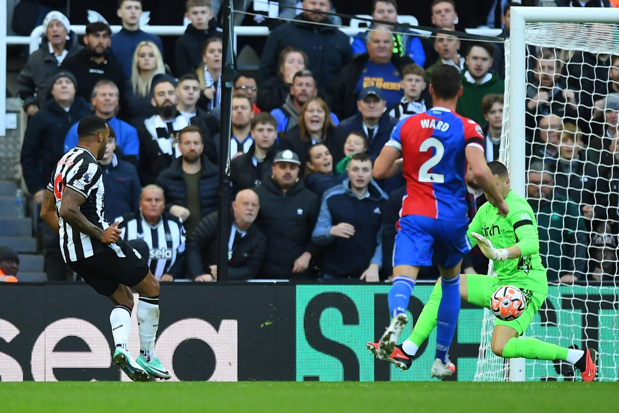 newcastle-vs-crystal-palace-wilson-1697909853.jpg