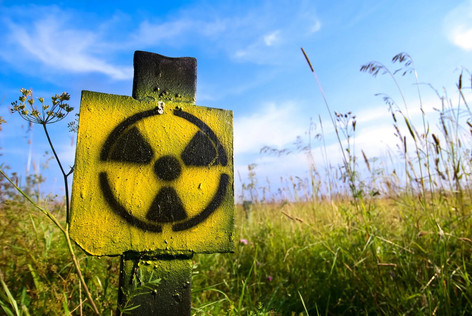 symbol-radiation-grass-background-1698742293.jpg