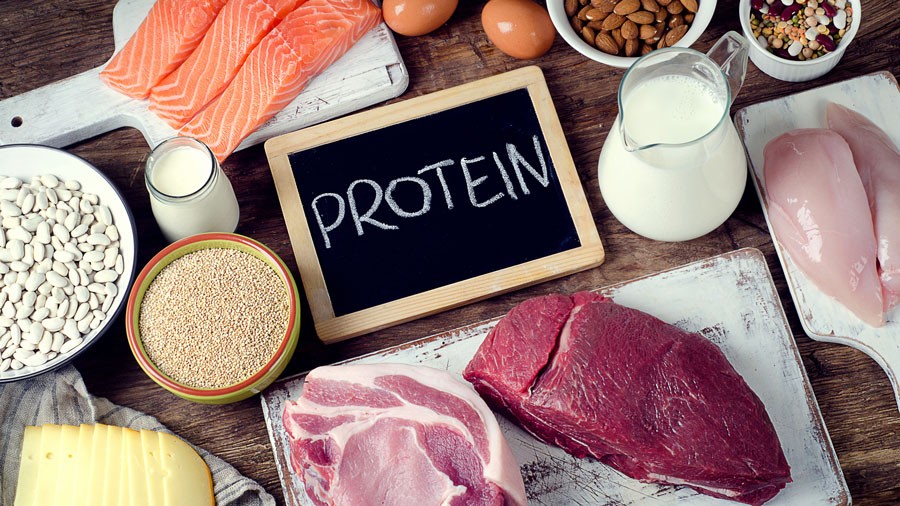 protein-2-1699003069.jpg