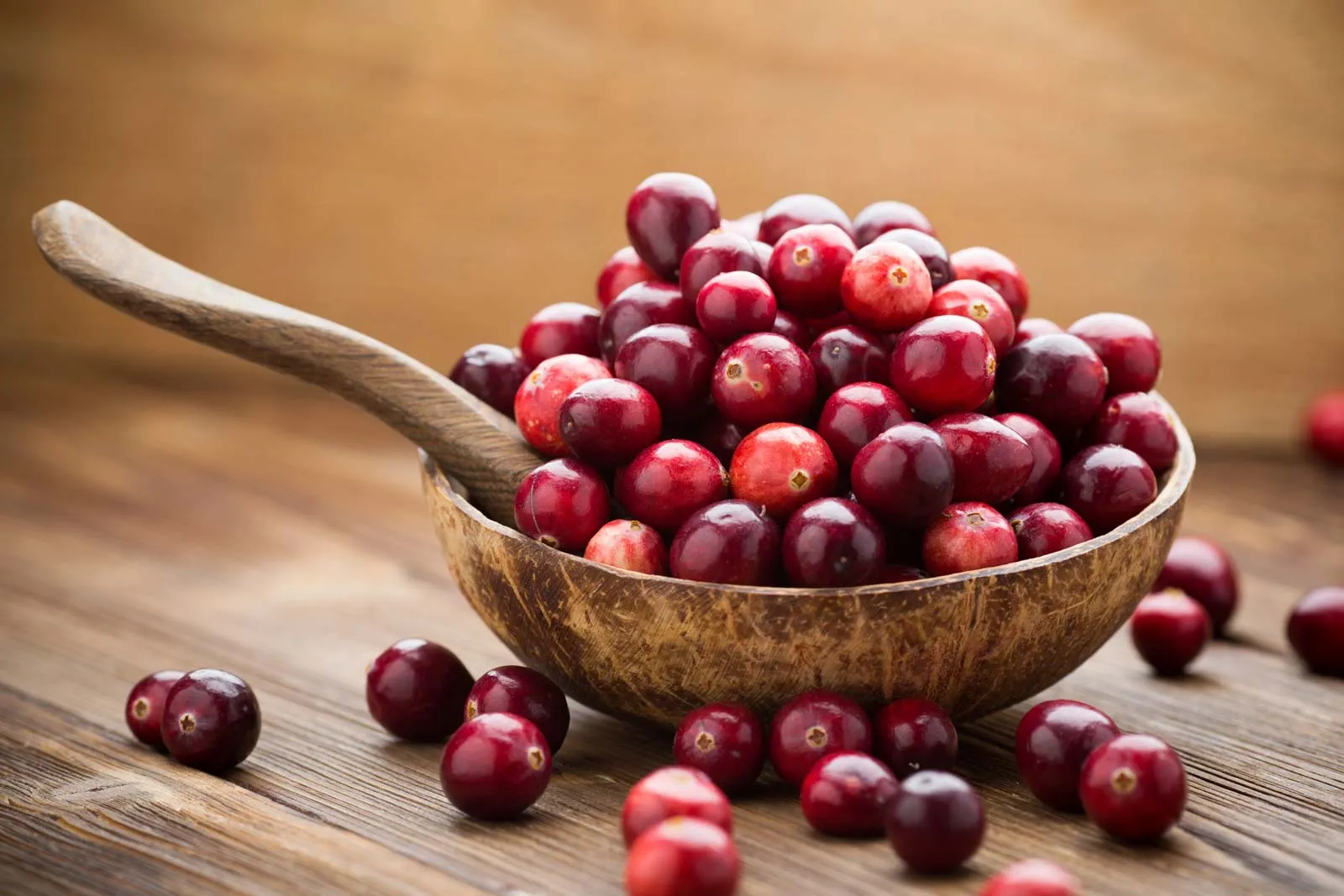 cranberries-1699416257.jpg