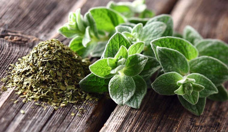 oregano-flakes-spoon-2-1701069118.jpg