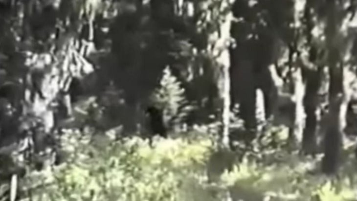 bigfoot-paul-freeman-8-1702375286.jpg