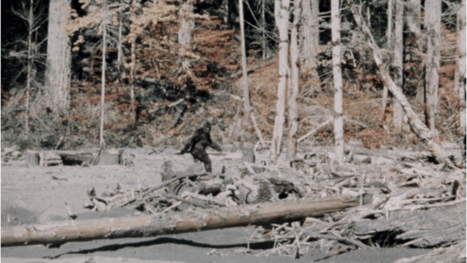 bigfoot-roger-patterson-1-h-1702375513.jpg
