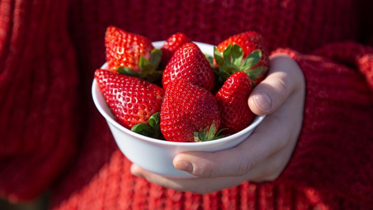 strawberry-benefits-for-skin1677477121962-1702901420.jpg