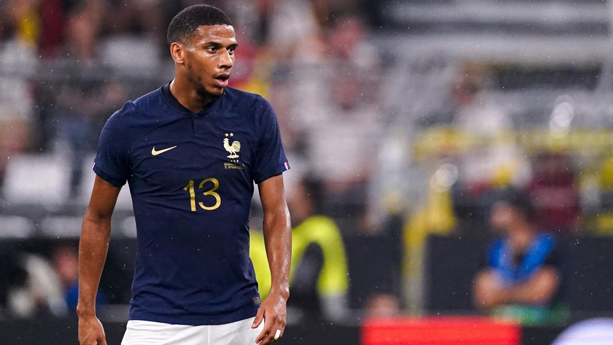 todibo-1703376734.jpg