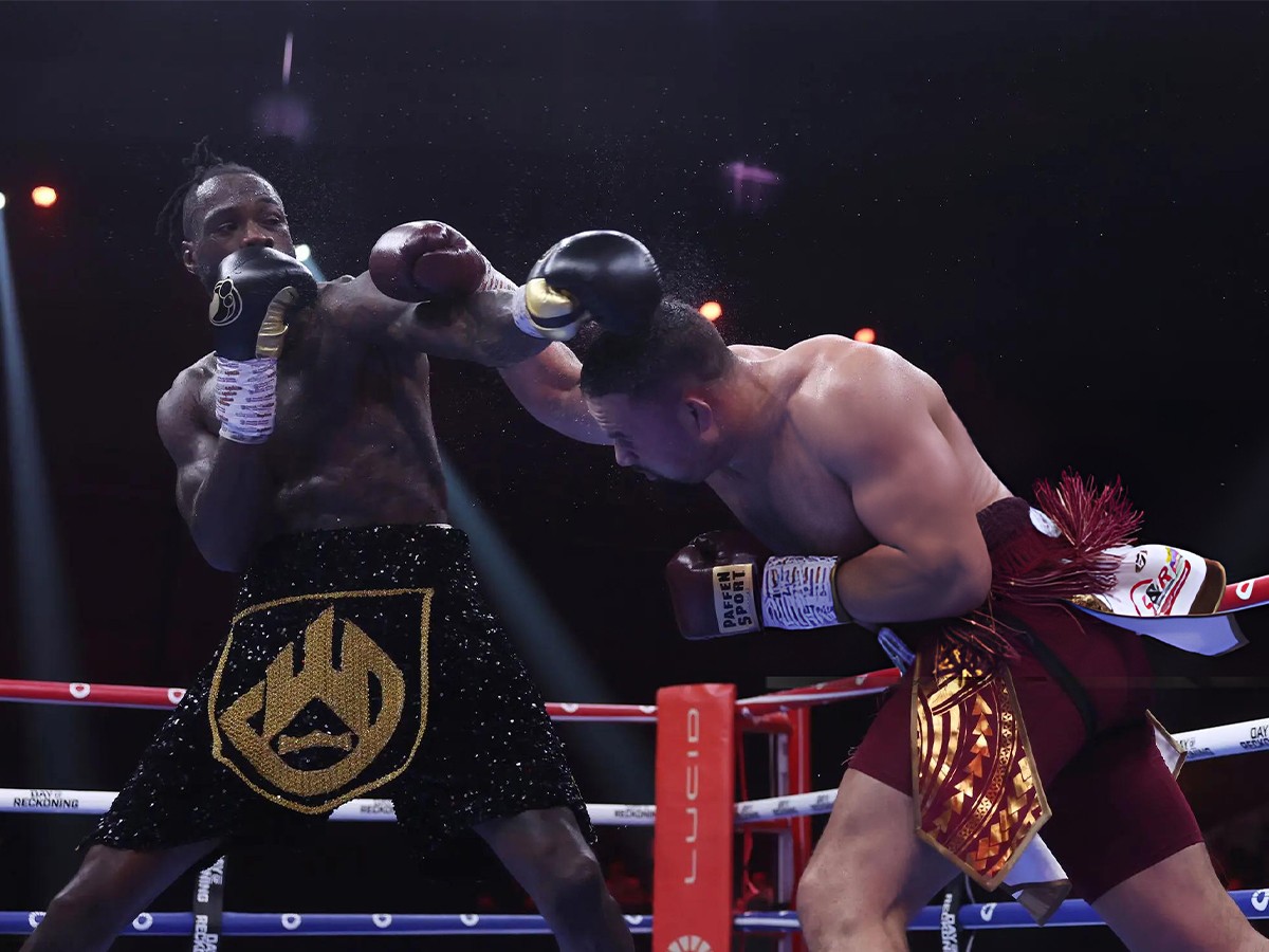 wilder-1703480566.jpg