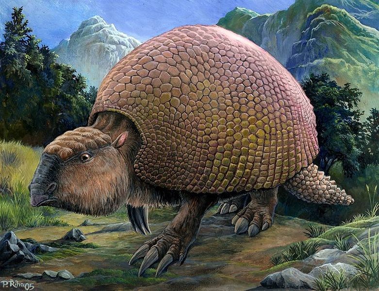glyptodont-1705562481.jpg