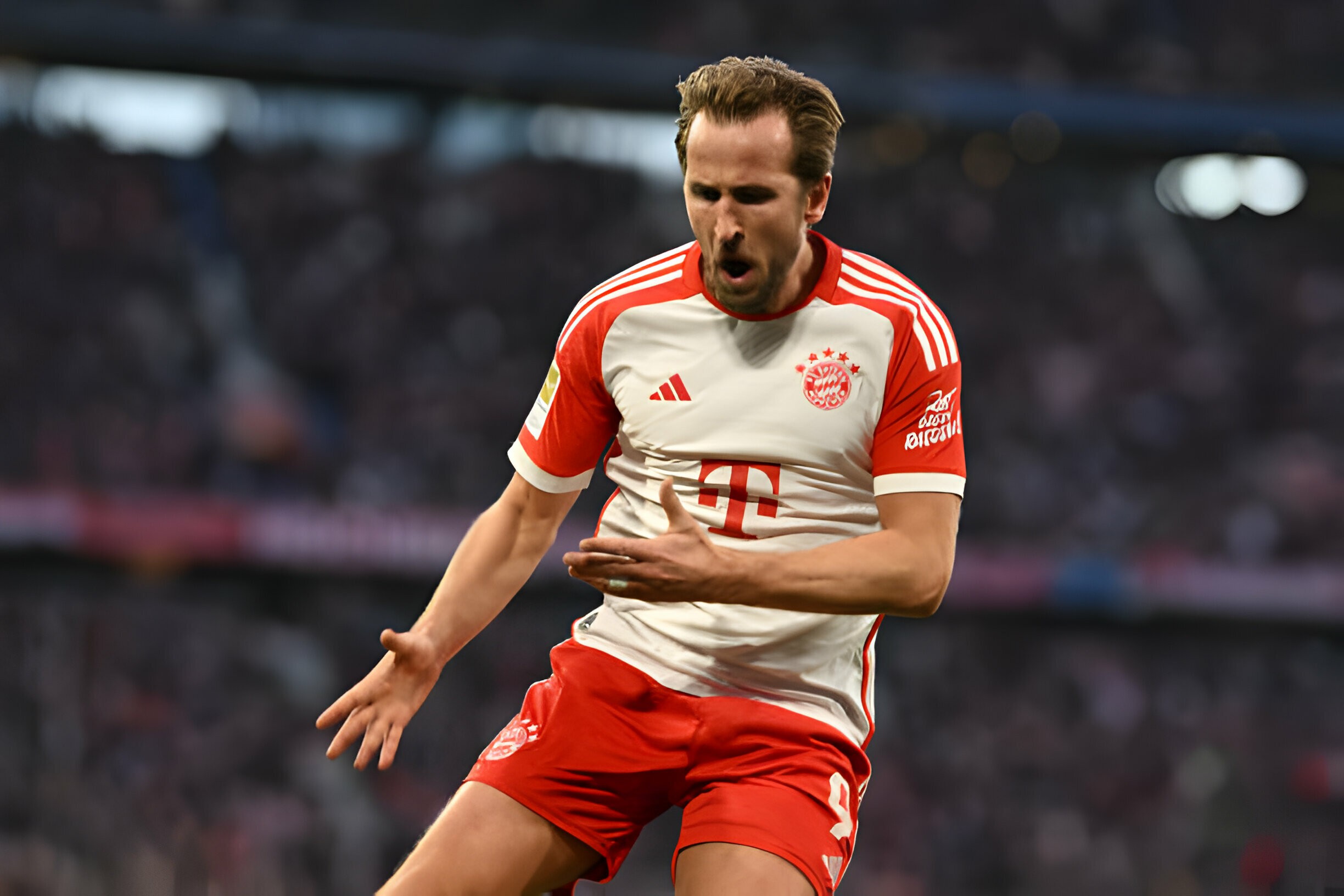 downloaderla-65be6780f02d9-1706977761.jpg