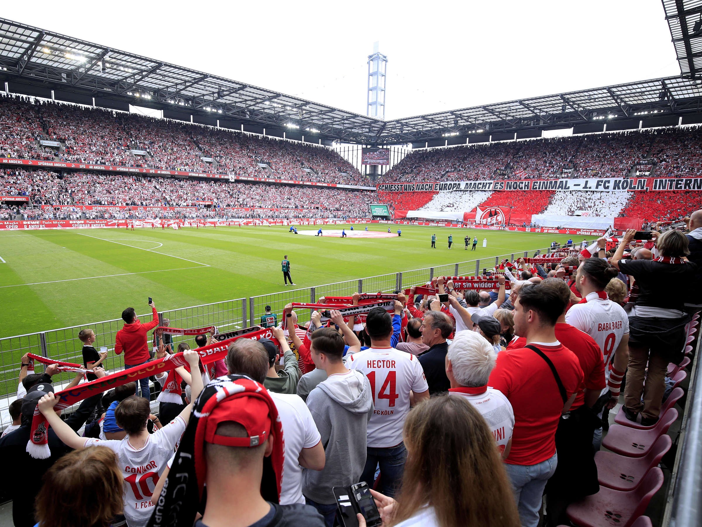 29265545-volles-rheinenergie-stadion-beim-spiel-des-fc-koeln-gegen-den-vfl-wolfsburg-3htn7wistte9-1709986610.jpg