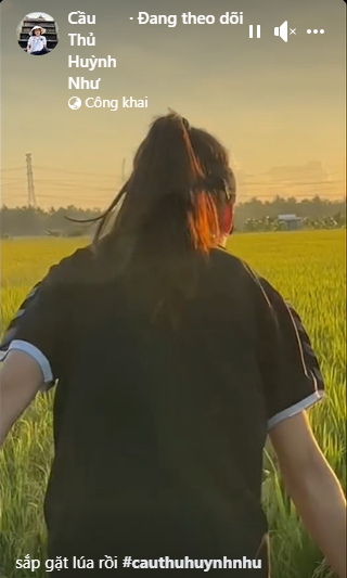 screenshot-443-1710474242.png