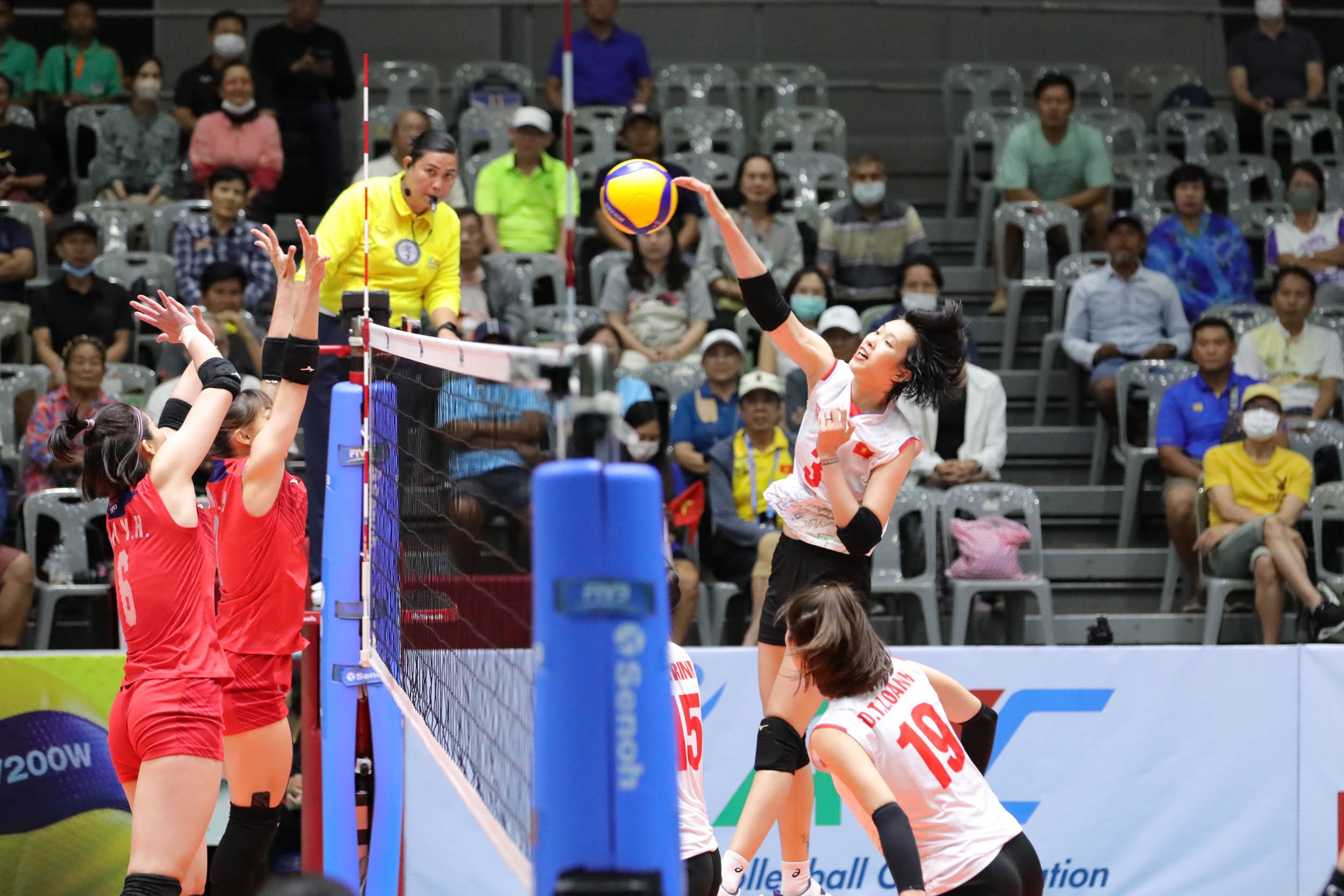 svl-2164-1713687081.jpg