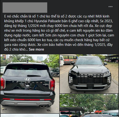 hyundai-palisade-2024-1714558834.PNG