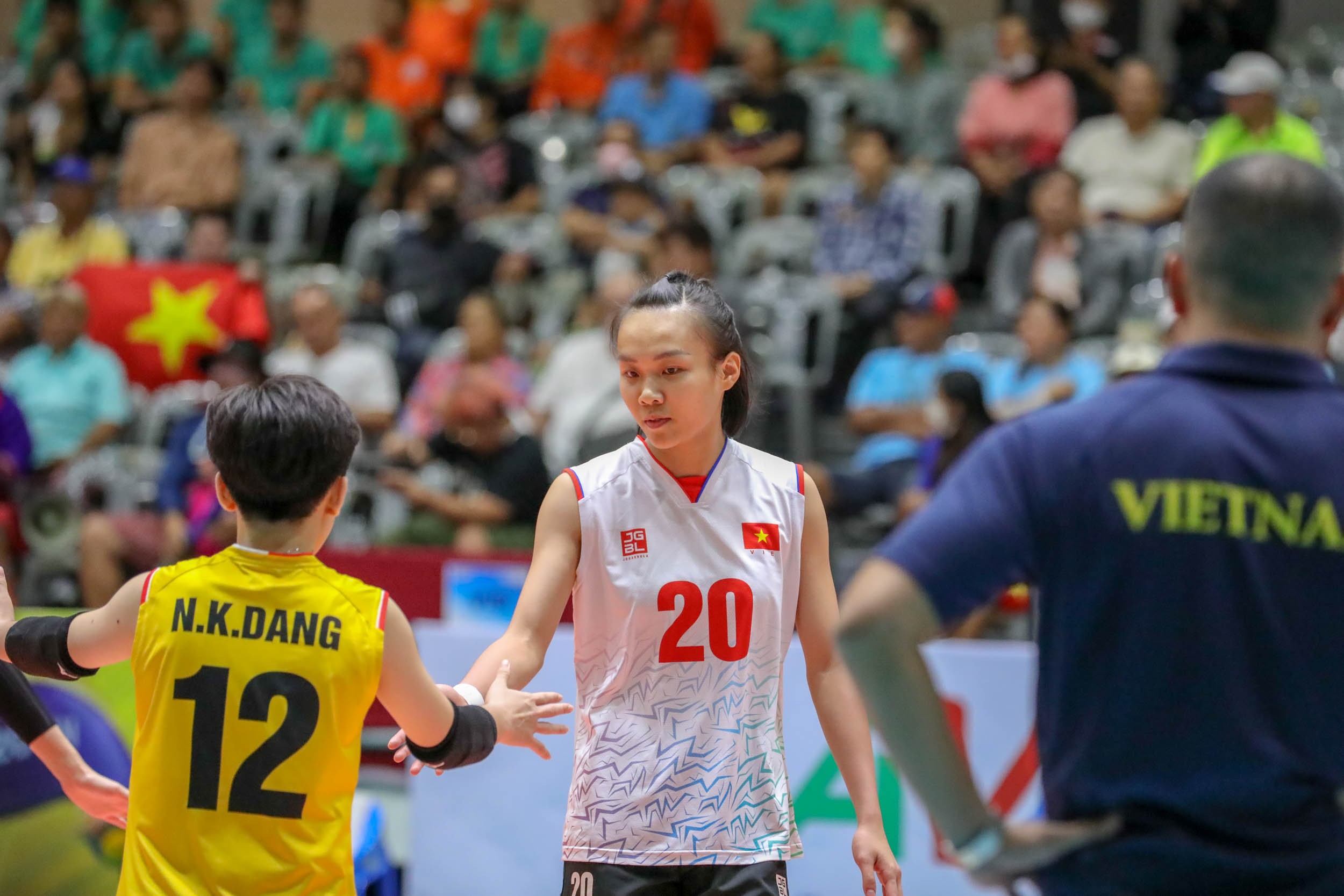 svl-2217-1714618862.jpg