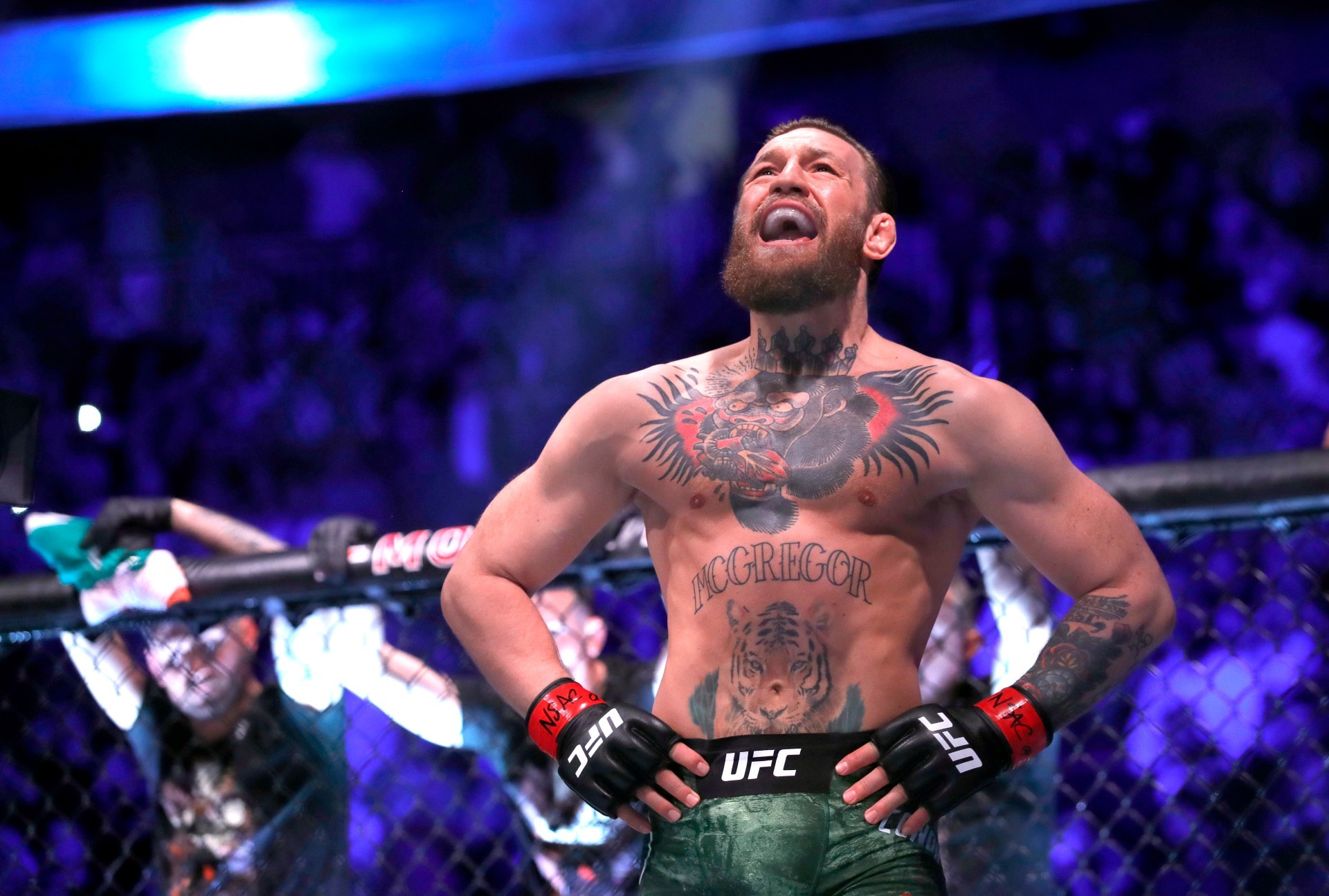 conor-mcgregor-1isw3bq5piuwt1apf1k1jqgtcu-1697703931-1697706015.jpg