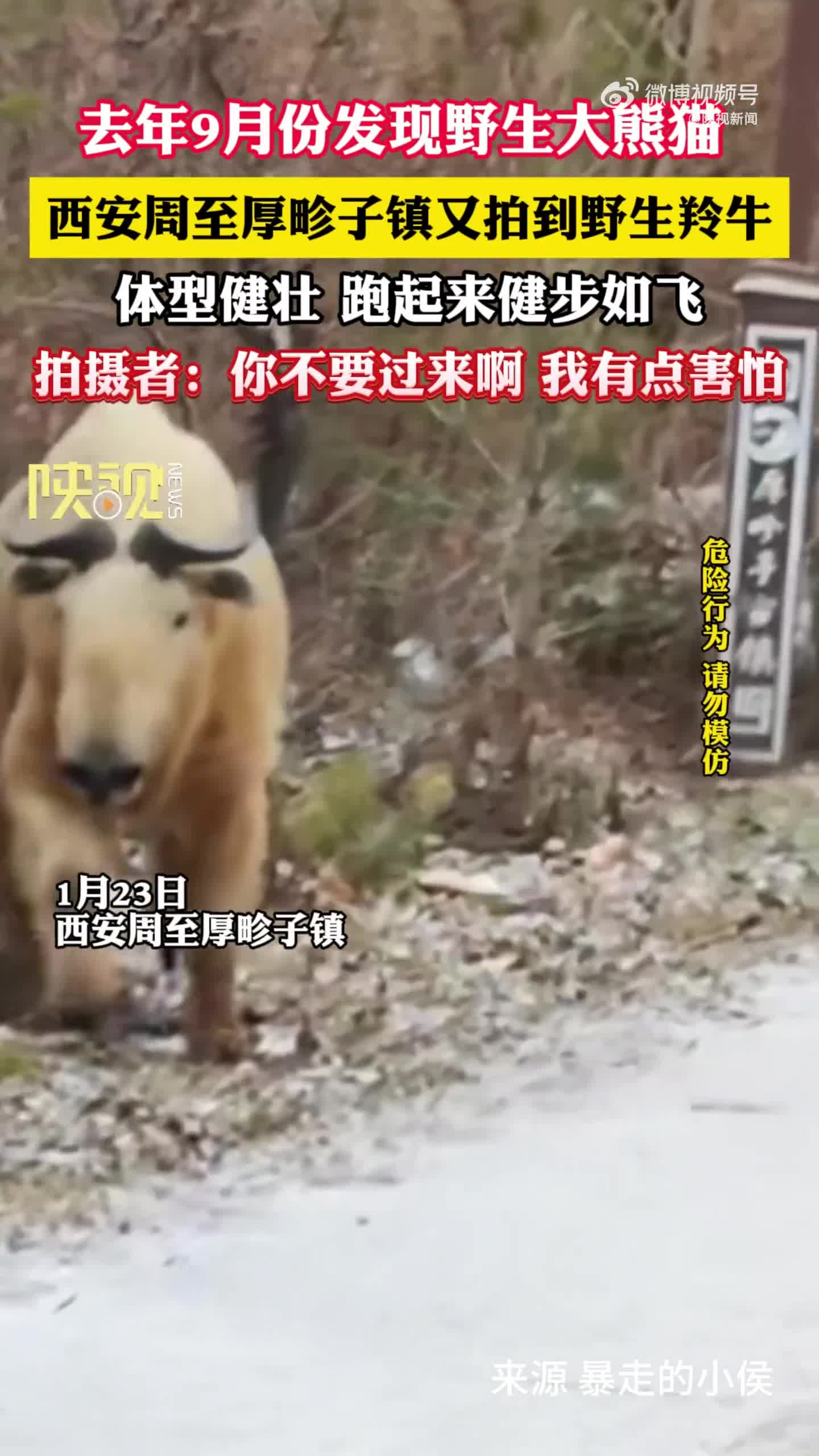 bi-linh-duong-duoi-1706179864.mp4