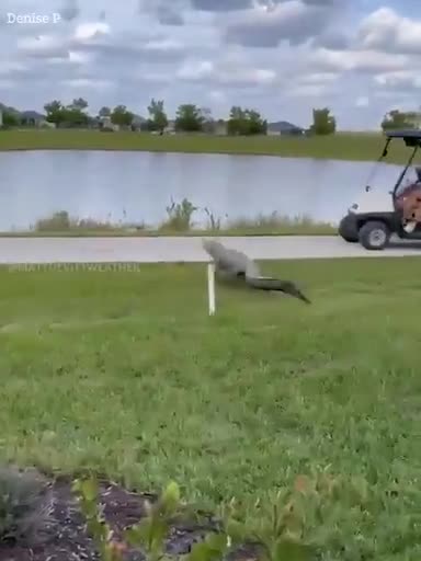 ca-sau-1708920045.mp4