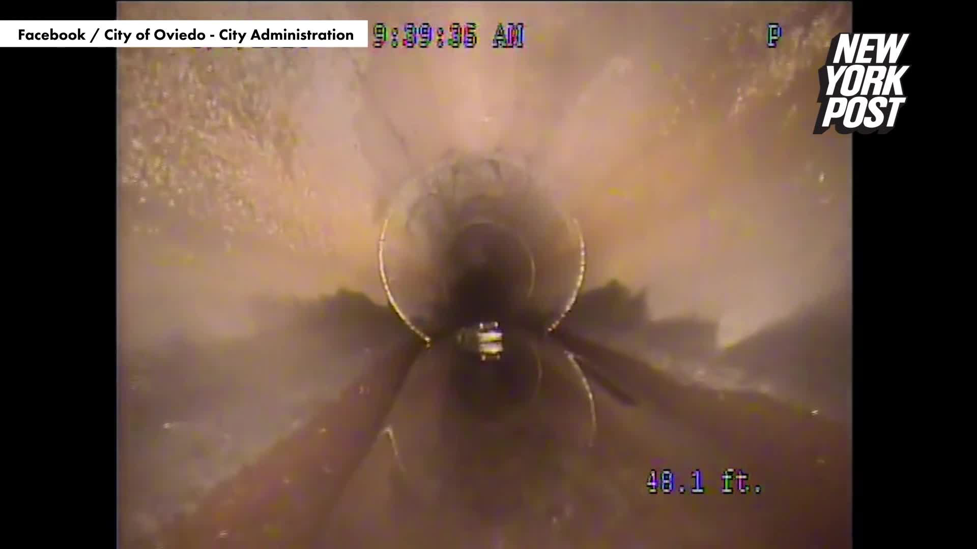 ca-sau-trong-cong-thoat-nuoc-1697166860.mp4