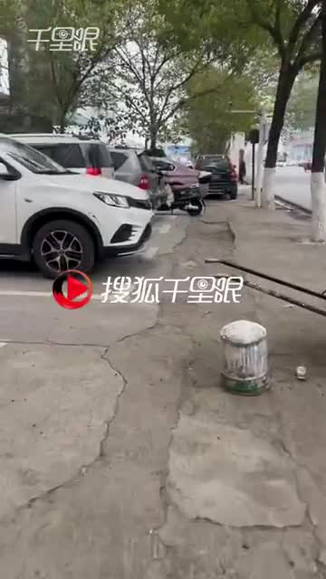 cho-cho-hoang-an-banh-mi-1701858436.mp4