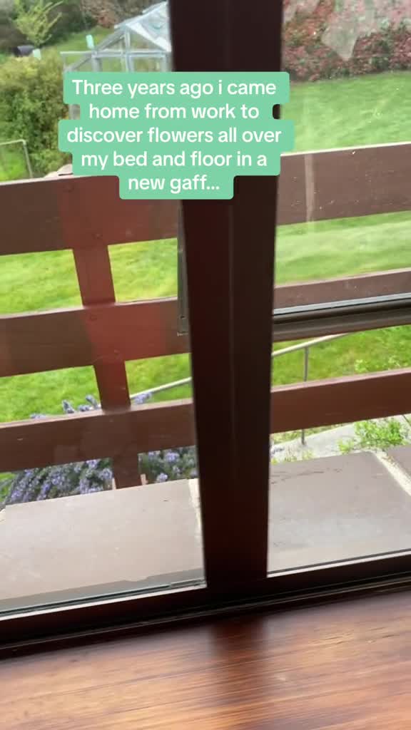 clip-meo-gap-hoa-toi-phong-1704182396.mp4