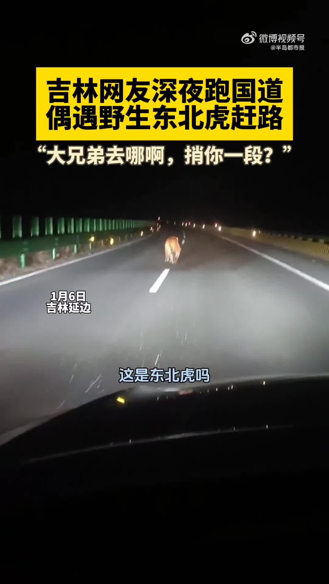 gap-ho-1704686482.mp4