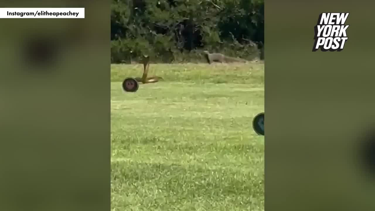 ran-ho-mang-1700132814.mp4