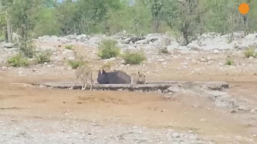 te-giac-1705651585.mp4