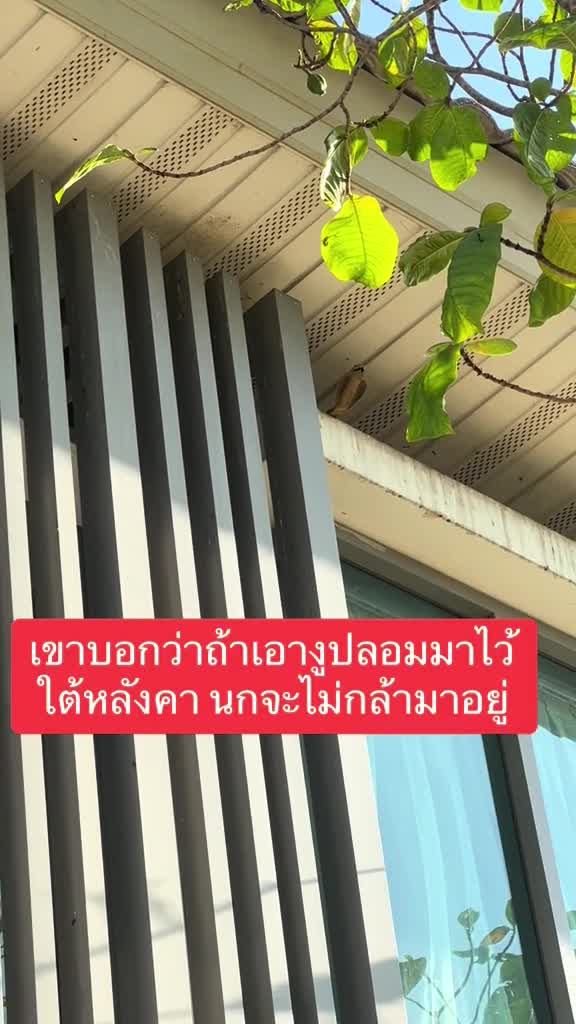 tiktok-make-your-day-1706173484.mp4