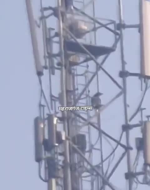 treo-len-thap-1701071850.mp4