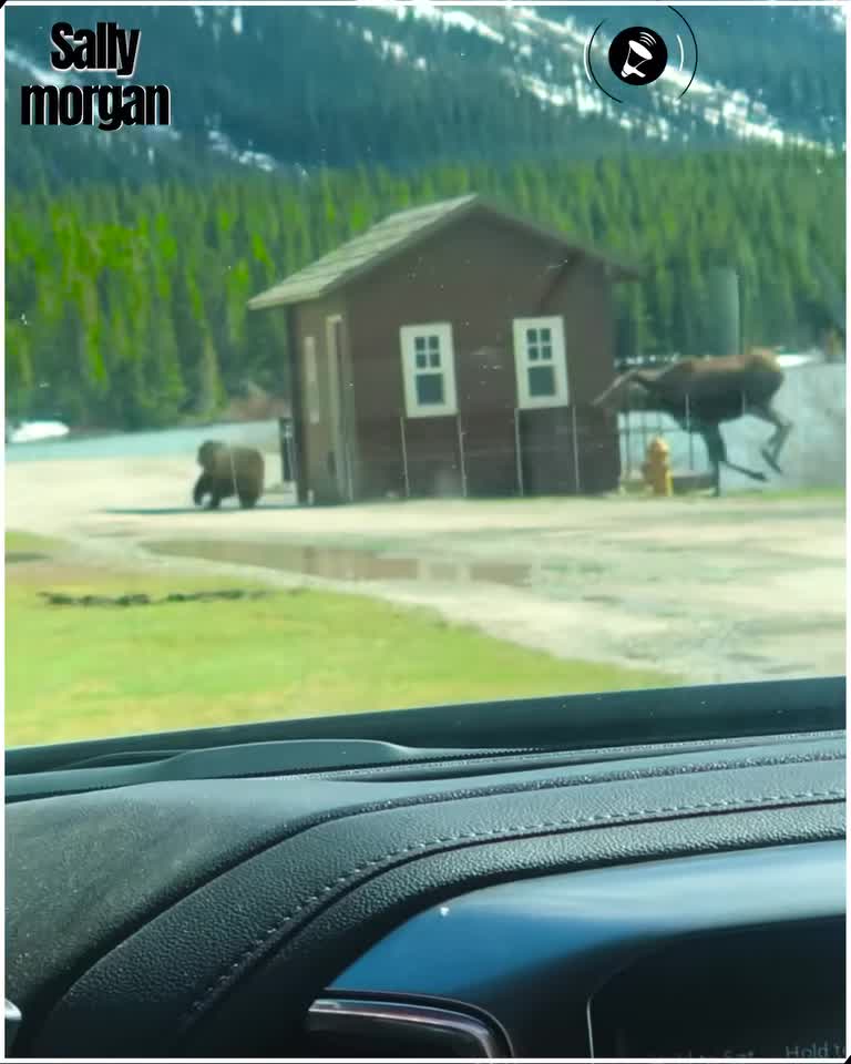 video-facebook-1705551080.mp4