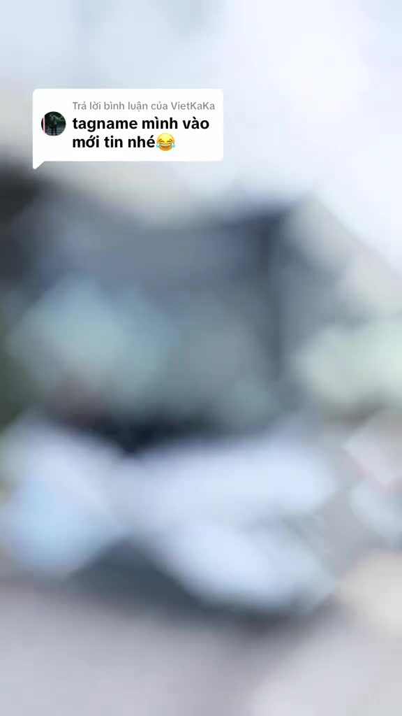 vinbus-nay-sang-xin-min-qua-1705981150.mp4