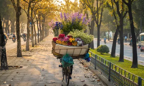 Hồ Minh Thông, lá chưa chịu khởi vàng khi mùa thu vừa tới