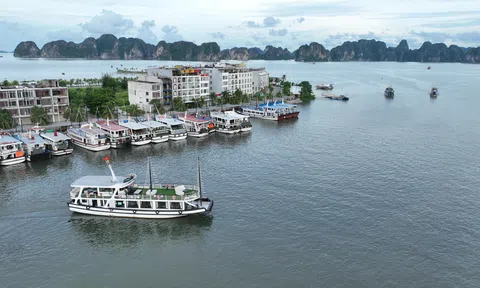 Xúc tiến chương trình Famtrip tham quan, nghỉ dưỡng, trải nghiệm cảnh quan Vịnh Hạ Long - Vịnh Lan Hạ