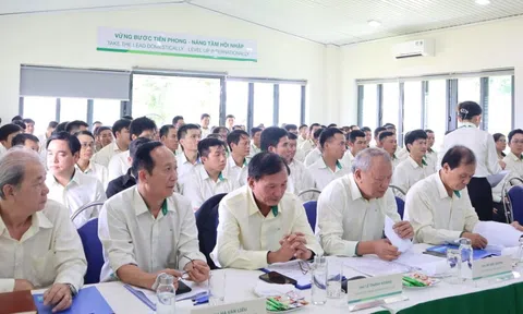 THACO AGRI triển khai kế hoạch hoạt động và quản trị 6 tháng cuối năm 2024 tại Khu liên hợp Cao Nguyên và HAGL AGRICO Lào