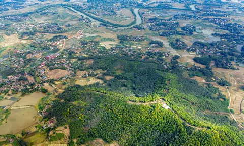 Bắc Giang: Huyện Tân Yên thu ngân sách đạt 97,95% dự toán