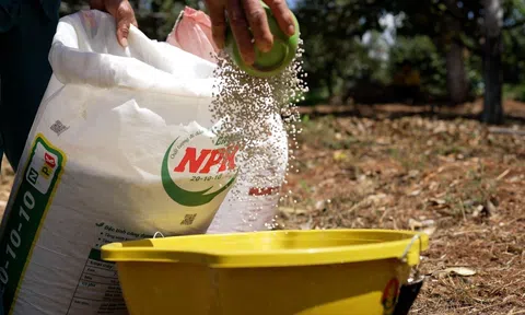 Những giải pháp hay giúp "thức dậy" những mùa vàng