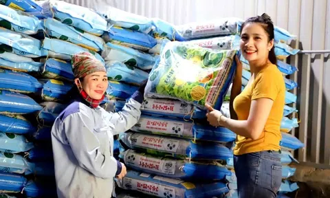 Hào hứng “Quét mã - Trúng vàng, mùa màng bội thu”