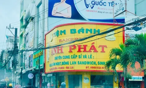 Gia Lai: Phát hiện sai phạm về tài chính hơn 29 tỷ đồng