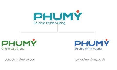 Ra mắt tên và bộ nhận diện thương hiệu mới PHUMY: Bước chuyển mình mạnh mẽ của PVFCCo