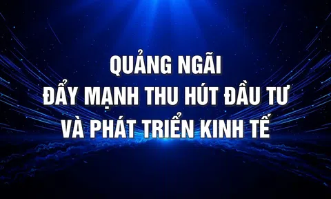 Quảng Ngãi đẩy mạnh thu hút đầu tư và phát triển toàn diện nền kinh tế