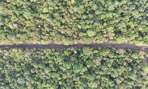 Đồng Nai: Nghiên cứu kiến nghị mở đường qua cầu Mã Đà