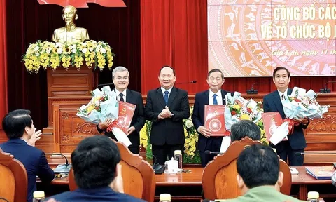 Gia Lai: Ba cán bộ thuộc diện Ban Thường vụ Tỉnh ủy quản lý xin nghỉ hưu trước tuổi