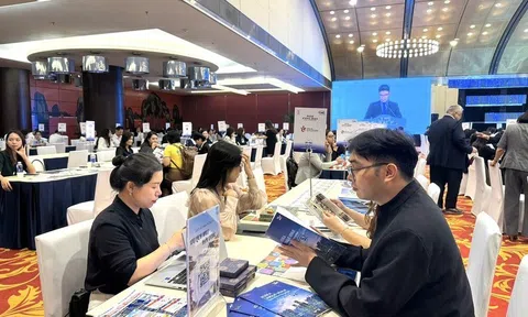 Bộ VHTTDL công bố Chương trình kích cầu du lịch năm 2025