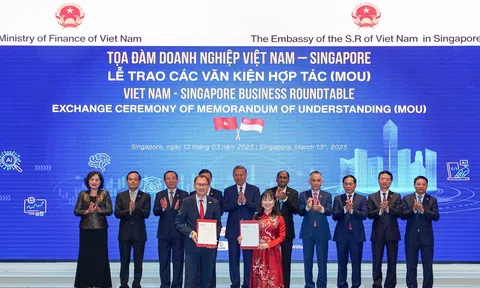 Trường Đại học VinUni và Đại học NTU – Singapore ký kết hợp tác, liên minh chiến lược