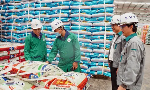 Phân Bón Cà Mau tăng cường “độ phủ” bộ sản phẩm NPK Cà Mau Poly Phosphate  tại thị trường Campuchia