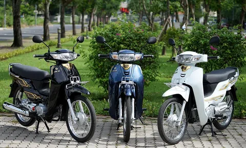 Cùng là xe số Honda, vì sao Dream 2024 vừa về Việt Nam đắt gấp 7 lần Wave Alpha?