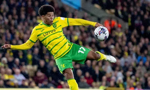 Nhận định, dự đoán Norwich vs Southampton , 22h00 ngày 01/01/2024